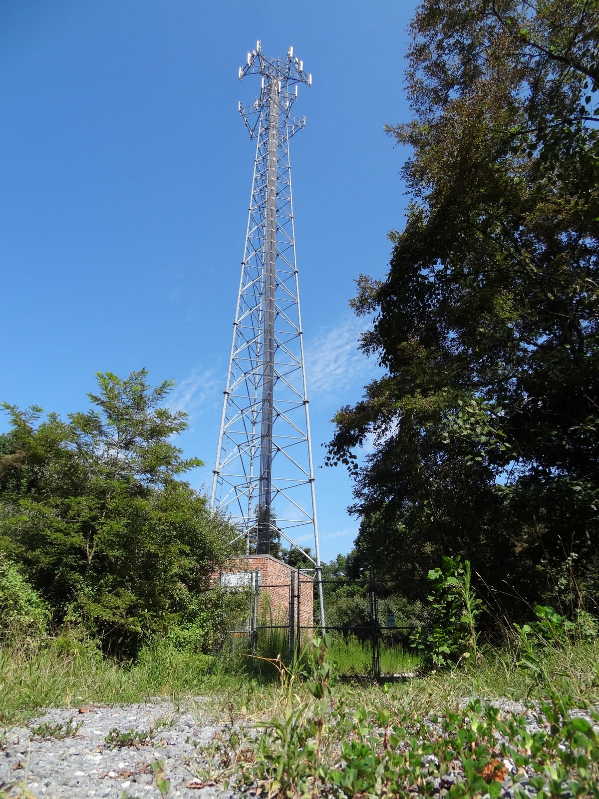 Cell Tower 2